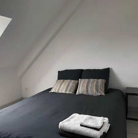 Nyaraló Maison 3 Et Jardin Le Mans